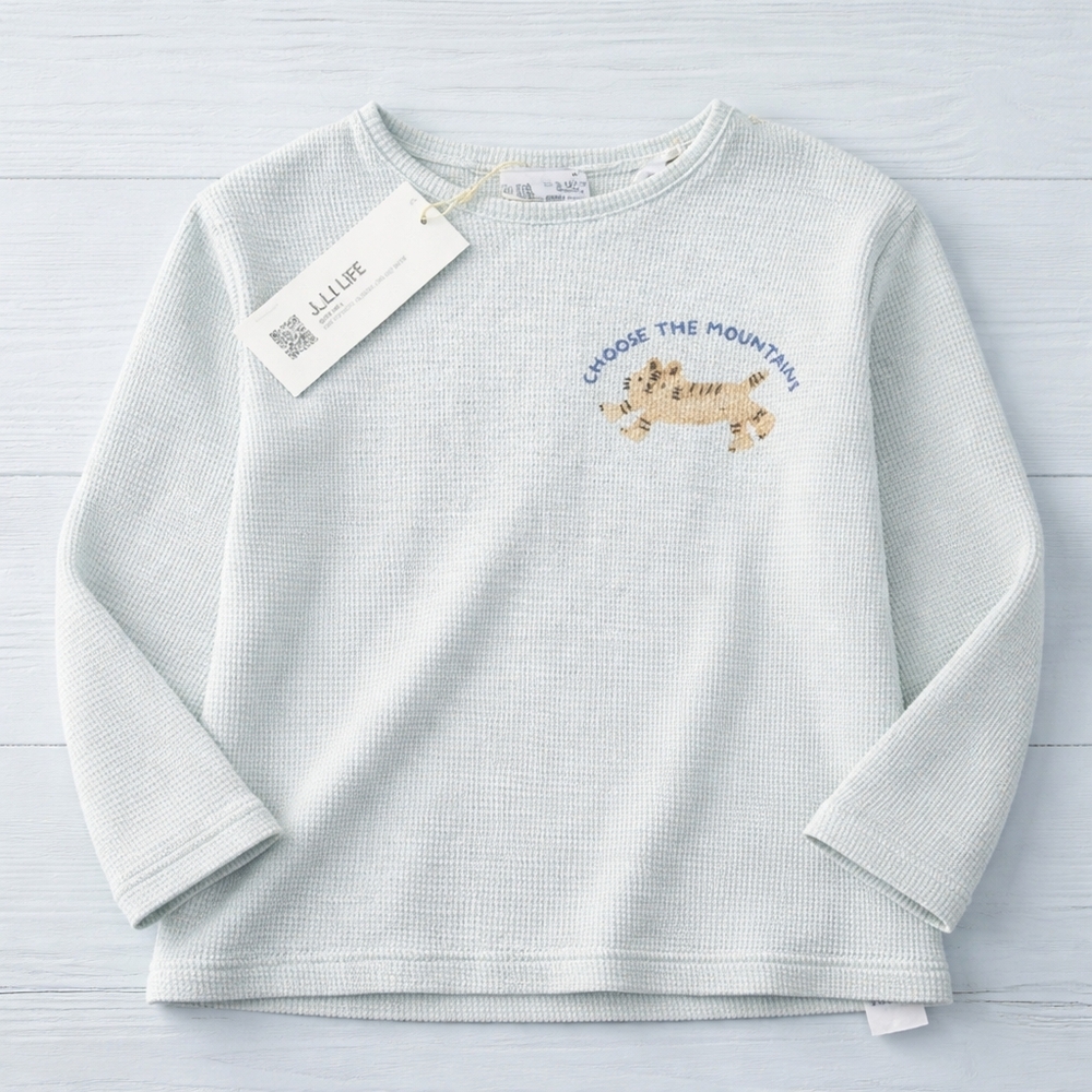 Nwt Zara Ls Shirt Boys 9-12 M Baby New